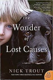 The Wonder of Lost Causes