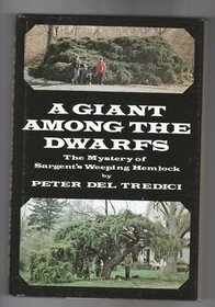 A Giant Among the Dwarfs: The Mystery of Sargent's Weeping Hemlock