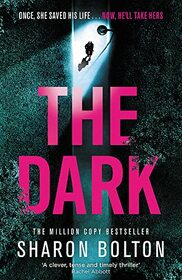 The Dark (Lacey Flint, Bk 5)