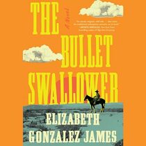 The Bullet Swallower: A Novel