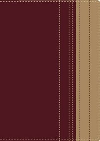 RVR Santa Biblia lectura facil, letra grande, una columna (Spanish Edition)