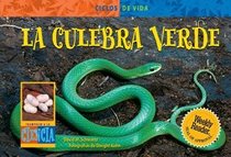 LA Culebra Verde/ Green Snake (Life Cycles) (Spanish Edition)