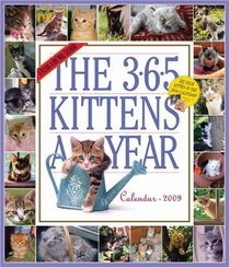 The 365 Kittens-A-Year Calendar 2009 (Picture-A-Day Wall Calendars)