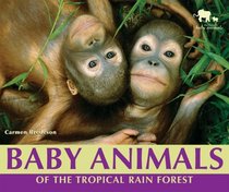 Baby Animals of the Tropical Rain Forest (Nature's Baby Animals)