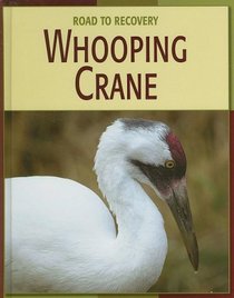 Whooping Crane (Road to Recovery)