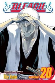 Bleach, Vol 20