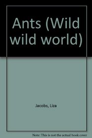 Wild Wild World - Ants