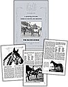 The Blood-horse, a Quarter-century American Racing and Breeding, 1916 Through 1940, Silver Anniversary Edition [A Reprint]