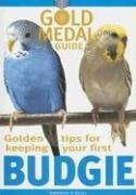 Golden Tips for Keeping Your First Budgie (Gold Medal Guide)