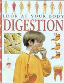 Digestion (Look at Your Body)
