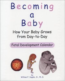 Becoming a Baby: How Your Baby Grows from Day-to-Day