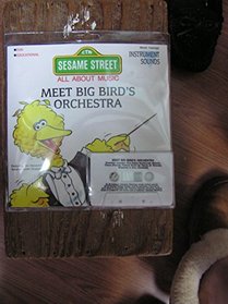 Meet Big Bird's Orchestra