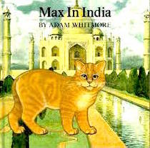 Max In India