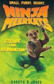 Mystery of Ice Mountain (Ninja Meerkats)