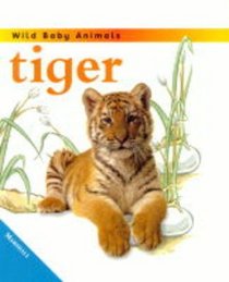 Tiger Cub (Wild Baby Animals)