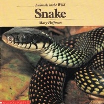 Snake: Animals in the Wild