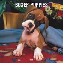 Boxer Puppies 2008 Square Wall Calendar (German, French, Spanish and English Edition)