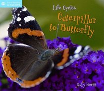 Life Cycles: From Caterpillar to Butterfly (Start Talking)