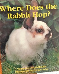 Where Does the Rabbit Hop?