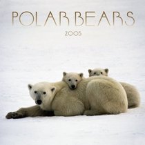 Polar Bears 2005 Wall Calendar