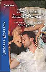 Their Last Second Chance (Stone Gap Inn, Bk 2) (Harlequin Special Edition, No 2711)