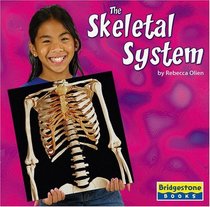 The Skeletal System (Human Body Systems)