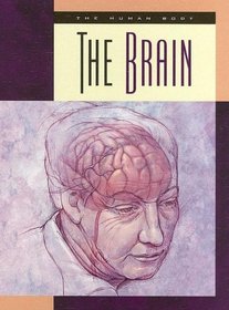 The Brain (The Human Body)