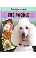 The Poodle (Our Best Friends)