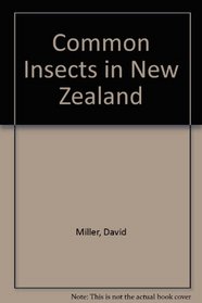 Common insects in New Zealand