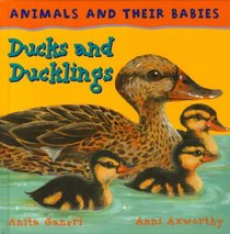 Ducks and Ducklings (Animals & Their Babies) (Animals & Their Babies)