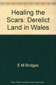 Healing the scars: Derelict land in Wales (The Mainwaring-Hughes award series)