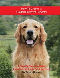 How to Groom A Golden Retriever Perfectly: A Step By Step Instruction Guide for Beginners