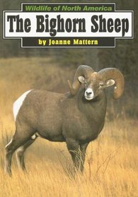 The Bighorn Sheep (Wildlife of North America)