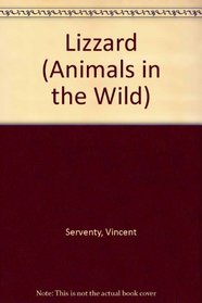 Lizzard (Animals in the Wild)