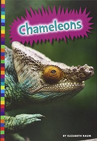 Chameleons (Lizards (Amicus))