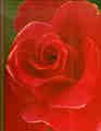 Roses (Time-Life Encyclopedia of Gardening)