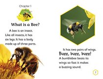 DK Readers L2: Amazing Bees