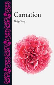 Carnation (Botanical)