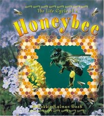 The Life Cycle of a Honeybee (The Life Cycle)