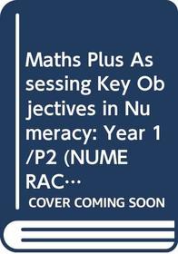 Numeracy Extras: Assessing Key Objectives in Numeracy Year 1 (Ginn numeracy extras: assessing key objectives in numeracy)