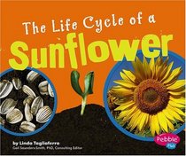 The Life Cycle of a Sunflower (Pebble Plus)