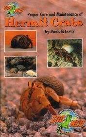 Proper Care and Maintenance of Hermit Crabs