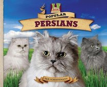 Popular Persians (Cat Craze)