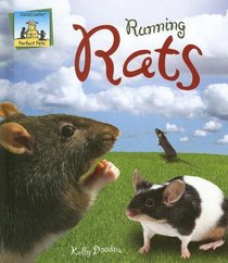 Running Rats (Perfect Pets)
