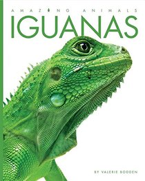 Iguanas (Amazing Animals)