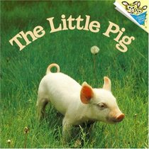 The Little Pig