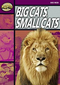 Big Cats Small Cats: Stage 1 Set A (Rapid)