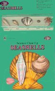 Science Close-Up: Seashells