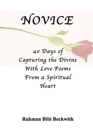 Novice- 40 Days of Capturing the Divine with Love Poems from A Spiritual Heart