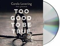 Too Good to Be True: A Novel